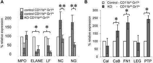 Figure 3. Expression of granulocyte and monocyte/macrophage genes by myeloid cells. (A) Quantitative RT-PCR from the indicated cell populations, normalized to ActinB and expressed relative to control CD11bhi Gr1locells for the following (A) neutrophil genes: myeloperoxidase (MPO), neutrophil elastase (ELANE), lactoferrin (LF), neutrophil collagenase (NC), and neutrophil gelatinase (NG), and (B) monocyte genes: calpactin (Cal), cathepsin B (CaB), fibronectin 1 (FN1), Legumain (LEG), and phospholipid transfer protein (PTP). Experiments were performed 3 times each on 3 different biologic specimens. *P < .05 between KO and control CD11bhi Gr1lo cells; **P < .05 between KO and control CD11bhi Gr1hi cells.