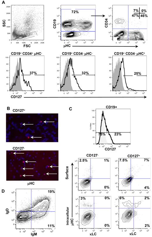 Figure 1. Expression of CD127 and Ig proteins on normal pediatric BM B-lineage cells and CD19+ cells from xenogeneic cultures. (A) CD127 expression was assayed on normal pediatric BM by flow cytometry. Total CD19+ cells in the lymphoid light-scatter gate were analyzed for surface μHC and CD34 expression (top right contour plot). CD127 expression was then analyzed and plotted on the 3 major populations of B-lineage cells in human BM: pro-B cells (CD19+/CD34+/μHC−), pre-B cells (CD19+/CD34−/μHC−), and immature/naive B cells (CD19+/CD34−/μHC+). CD127 expression was detected on all 3 subpopulations of B-lineage cells in human BM. (B) Cytocentrifuge slides of FACS-purified CD127+ and CD127− cells from xenogeneic cultures were stained for expression of Igμ heavy chains using goat anti–human IgM TRITC (red) and counterstained with DAPI (blue). Mounting medium (2.3% wt/vol DABCO; Sigma D-2522/10% 1× PBS/87.7% glycerol) was used to cover the stained slides and slides were stored at 4°C and visualized at room temperature. Images were acquired using the Plan-Apochromat 10×/0.45 numerical aperture (NA) objective on an Axiovert 2 fluorescent microscope (Carl Zeiss) equipped with a Spot CCD camera (Diagnostic Instruments) and Spot Advanced 4.6 acquisition software. Adobe Photoshop 7.0 was used to create image overlays. Approximately 5% of cells in each population expressed Igμ. (C) CD19+ cells were isolated from 4-week xenogeneic cultures and stained for expression of CD127, Igμ, Igκ, and Igλ. (D) CD19+ cells were isolated from a 7-week xenogeneic cultures and stained for expression of Igμ and Igδ heavy chains.
