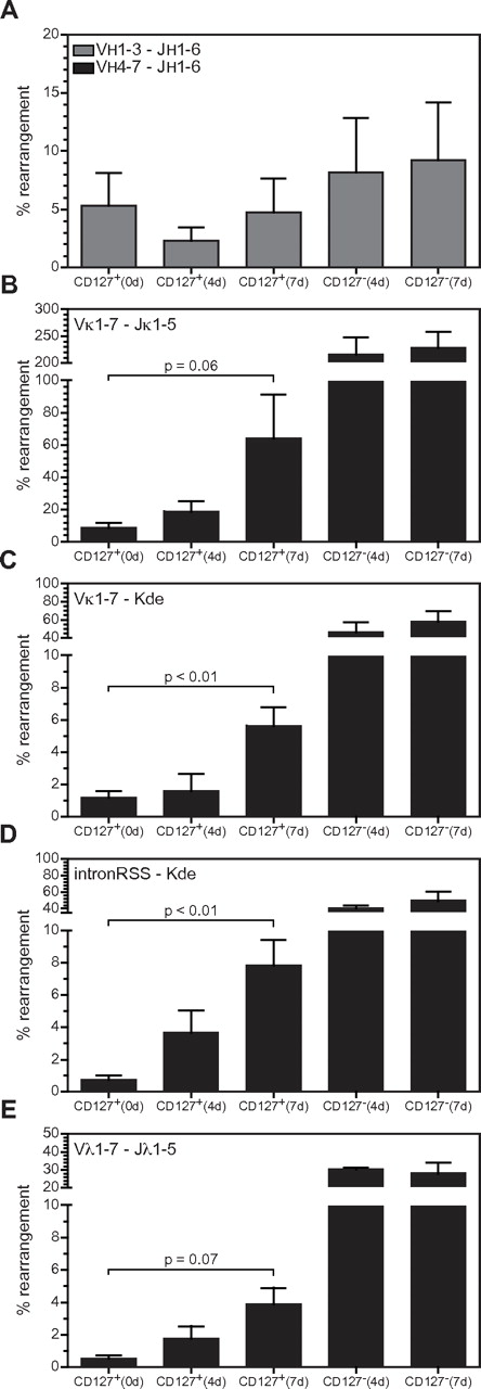 Figure 7. IL-7R signaling and complete Ig gene rearrangements. (A-E) The levels of VH-DJH, Vκ-Jκ, Vκ-Kde, IntronRSS-Kde, and Vλ-Jλ rearrangements were quantified as in Figure 2 in FACS-purified CD127+ and CD127− populations from cultures in which endogenous IL-7 was neutralized for either 4 or 7 days. Each bar represents the mean ± SD of triplicate experiments except CD127+ (0 days), which represents quadruplicate values (the triplicate values from Figure 2 plus 1 additional experiment donor matched to one of the experiments in which IL-7 was neutralized).