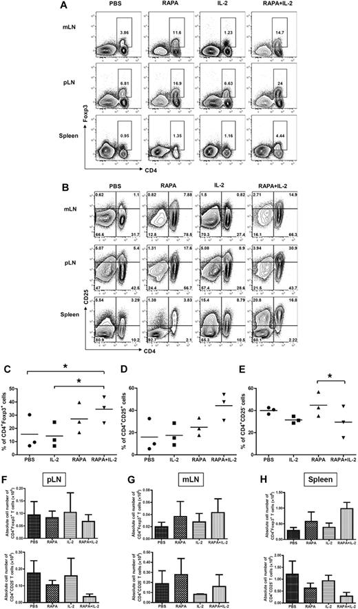 Figure 2. Combination of RAPA + IL-2 has additive effects on the expansion of CD4+Foxp3+ and CD4+CD25+ cells after infusion of donor Tregs and CD25 depleted Tcons. BALB/c mice (Thy1.2 and H-2kd) were injected with 5 × 106 TCD-BM cells from GFP transgenic C57BL/6 mice (Thy1.1 and H-2kb), 5 × 105 Treg from wild-type C57BL/6 mice (Thy1.2 and H-2kb) and 5 × 105 CD25− Tcons (CD4+CD8+CD25− T cells) from congenic Thy1.1 C57BL/c mice (Thy1.1 and H-2kb) after lethal irradiation with 800 cGy on day 0. Mice received either PBS alone, RAPA, IL-2 or a combination of RAPA + IL-2 from day 0 to day 7 after BMT (5 mice per group). Cells were reisolated from mLNs, pLNs, and spleen and analyzed by flow cytometry after staining with CD4, CD25, and intracellular Foxp3 on day 7 after BMT. Cells from each lymphoid organ were stained with (A) anti-CD4 and anti-Foxp3 intracellular staining, and (B) anti-CD4 and anti-CD25; data shown are gated on H-2kb+ lymphocytes. These data are representative of 3 separate experiments. The combination of RAPA + IL-2 increased the expansion of donor-type CD4+Foxp3+ T cells and CD4+CD25+ T cells, and reduced donor-type CD4+CD25− T cells from donor-type Tregs and CD25 depleted Tcons. The graphs compare the proportion of (C) CD4+Foxp3+ cells, (D) CD4+CD25+ T cells, and (E) CD4+CD25− T cells from peripheral LNs in each group (PBS alone, ●; IL-2, ■; RAPA, ▴; RAPA + IL-2, ▾). Absolute cell number of CD4+Foxp3+ T cells and CD4+CD25− T cells in pLNs, mLNs cells and splenocytes from each treatment group are shown (F-H). Data are derived from 3 separate experiments. Results are displayed as the mean ± SD. *P < .05.