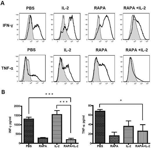Figure 4. Combination of RAPA plus IL-2 reduced production of IFN-γ and TNF-α. BALB/c mice (Thy1.2 and H-2kd) were injected with 5 × 106 TCD-BM cells from GFP transgenic C57BL/6 mice (Thy1.1 and H2-kb), 5 × 105 Tregs from wild-type C57BL/6 mice (Thy1.2 and H-2kb) and 5 × 105 CD25-depleted Tcons (CD4+CD8+CD25− T cells) from congenic Thy1.1 C57BL/c mice (Thy1.1 and H2-kb) after lethal irradiation with 800 cGy on day 0. Mice of each group received PBS, RAPA or IL-2 alone, or a combination of RAPA + IL-2 from day 0 to day 7 after BMT. Intracellular cytokines (A) were determined from splenocytes of each mice group, and serum was collected and cytokines (B) were analyzed in a multiplex assay system on day 7 after BMT. RAPA plus IL-2 resulted in the greatest reduction in the production of both IFN-γ and TNF-α assessed by intracellular cytokine production and reduction in the concentration of both of these cytokines in serum of animals. Results were shown as mean ± SD using horizontal column bar graphs (5 mice were included at each group). *P < .05, *** P < .001.