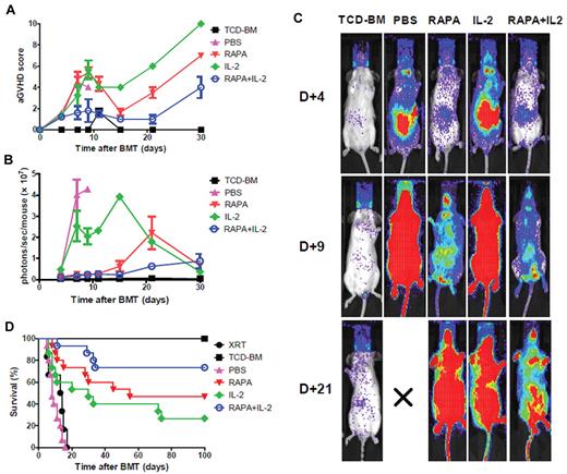 Figure 5. Combination of RAPA and IL-2 protects animals from acute GVHD by reducing alloreactive T-cell expansion in vivo. BALB/c mice were treated with irradiation alone (800 cGy; ●) or injected with 5 × 106 TCD-BM cells alone (■) or together with 1 × 106 luc+ Tcons after lethal irradiation. Each group of mice received PBS (▴), RAPA (▾), IL-2 alone (♦) or a combination of RAPA plus IL-2 (○). Treatment of RAPA was continued until 14 days after BMT and IL-2 was administrated intraperitoneally before BMT and then twice a day thereafter for 3 days. Mice receiving the combination of RAPA + IL-2 had lower acute GVHD score than those receiving RAPA or IL-2 alone (A). (B) Expansion of luciferase-expressing T cells as quantified by total emitted photons per mouse at serial time points after BMT. Signal intensity is significantly lower in mice receiving a combination of RAPA + IL-2 compared with PBS (P < .05) or IL-2 alone (P < .01). (C) Single time points showing the expansion of luc+ donor T cells in BALB/c mice in the different groups. T-cell expansion was reduced in mice receiving the combination of RAPA + IL-2 compared with RAPA alone at day 21 after BMT or IL-2 alone at day 9 and day 21 after BMT. (D) Survival of mice in the different groups (n = 15 per group). Lethal acute GVHD induced by C57BL/6 Tcons in BALB/c recipients was reduced in animals treated with the combination of RAPA + IL-2 (○ versus ▴, P < .0001; ○ versus ♦, P = .007). Error bars represent SEM.