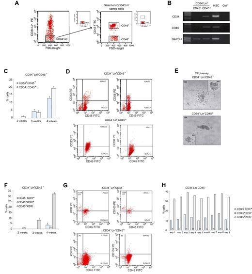 Figure 1. PB CD34−Lin−CD45− cells give rise to hematopoietic and endothelial-lineage cells on LTC-HE. (A) Sorting criteria used to separate fresh adult human CD34−Lin−CD45− and CD34−Lin−CD45+ cells from PB. (B) RT-PCR showing CD34 and CD45 mRNA expression in freshly sorted CD34−Lin−CD45− and CD34−Lin−CD45+ cells, and hematopoietic stem cells (HSCs) as a control. (C) Time-course of immunophenotypic changes in CD34−Lin−CD45− cells during LTC-HE: progressive appearance of CD34+CD45+ and CD34−CD45+ cells. Data shown as mean ± SE of 6 independent experiments. (D) Representative plots showing the expression of hematopoietic markers by CD34−Lin−CD45− compared with CD34−Lin−CD45+ cells after 6 weeks in LTC-HEs. The mean ± SE of 20 independent experiments is shown in each quadrant. (E) After 6 weeks in LTC-HEs, both cell populations showed similar CFU capacity. Represenative bright-field microscopy images (original magnification 40×). (F) Time-course of immunophenotypic changes in CD34−Lin−CD45− cells during LTC-HE: progressive appearance of CD45−KDR+, CD45+KDR+, and CD45+KDR− cells. Data shown as mean ± SE of 6 independent experiments. (G) Representative plots showing that after 6 weeks of culture (under LTC-HE conditions) CD34−Lin−CD45− but not CD34−Lin−CD45+ cells gave rise to CD45+ cells and to CD45− cells coexpressing molecules linked to endothelial development. The mean ± SE of 9 independent experiments is shown in each quadrant. (H) Percentage of CD45−KDR+, CD45+KDR+, and CD45+KDR− cells in LTC-HEs of CD34−Lin−CD45− cells after 6 weeks. The graph shows the results obtained in each experiment. FSC indicates forward scatter.