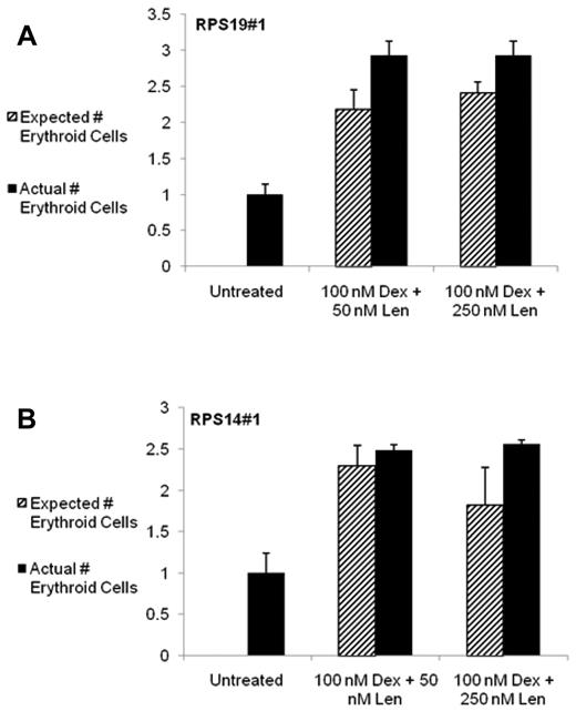 Figure 3. The combination of dexamethasone and lenalidomide has an additive effect on increasing the production of erythroid cells from CD34+ cells expressing RPS19 or RPS14 shRNAs. The effects of combination treatment with dexamethasone (Dex) and lenalidomide (Len) and control on cells infected with a RPS19 shRNA are shown in panel A and with a RPS14 shRNA in panel B. The absolute number of erythroid cells after 10 days in liquid culture was determined by multiplying the number of cells counted per well by the percentage of cells expressing any erythroid markers (CD71, glycophorin A) as assayed by flow cytometry. Data are presented as relative number to eliminate differences caused by cell number and infection rate. The expected number of erythroid cells was calculated as follows: expected number of cells = (absolute number of erythroid cells with Dex treatment alone − control) + (absolute number of erythroid cells with Len treatment alone − control) + control. The experiments were performed in triplicate and the entire experiment was repeated with similar results with an independent shRNA (supplemental Figure 6). ANOVA was used and the statistical findings are discussed in the text.