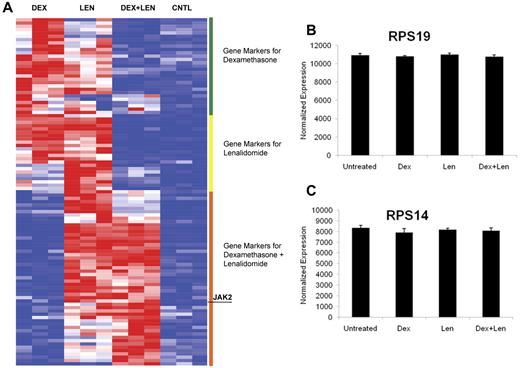 Figure 4. Dexamethasone and lenalidomide induce distinct but overlapping gene-expression profiles. The heat map (panel A) illustrates the top 25 genes induced by dexamethasone (Dex), lenalidomide (Len), and the combination of both drugs. Genes induced by one drug and the combination are labeled as genes induced by the combination. The genes were arranged by hierarchical clustering. High gene expression is portrayed in red and low expression is blue. Expression of RPS19 and RPS14 in response to drug treatment is shown in panels B and C, respectively.