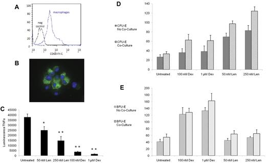 Figure 6. The effects of dexamethasone and lenalidomide on erythropoiesis are influenced by macrophage cocultures. Macrophages were confirmed by presence CD68 by flow cytometry (A) and by immunofluorescence (B), with the green stain representing CD68 and the blue stain representing DAPI. After 3 days of treatment with the compounds in liquid culture, the amount of TNF-α in the supernatant was quantified by a chemiluminescent immunoassay (C). The experiment was performed in triplicate and repeated with similar results. After 3 days of treatment with the compounds in liquid culture, cells were plated in methylcellulose without drugs. Data are presented as the number of colonies per 3200 cells plated. The effects of dexamethasone (Dex) and lenalidomide (Len) on CFU-E colony formation are shown in panel D. The effects of Dex and Len on BFU-E colony formation are shown in panel E. The experiments were performed in triplicate and repeated with similar results. In panel C, a 2-tailed Student t test was used. **P ≤ .01; *P ≤ .05. In panels D and E, ANOVA was used and the statistical findings are discussed in the text.