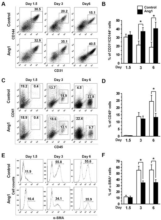 Figure 2. Ang1 promotes the EC population but reduces the HSC and VSMC populations during Flk-1+ MPC differentiation. Flk-1+ MPCs were purified on E4.5 and cultured on OP9 cells. Control or Ang1 was administered on days 0, 2, and 4, and analyses were performed on days 1.5, 3, and 6. (A,C,E) Representative FACS analyses of the populations of CD31+/CD144+ ECs, CD45+ HSCs, and α-SMA+ VSMCs. Numbers indicate percentages of ECs, HSCs and VSMCs. (B,D,F) Comparison of percentages of CD31+/CD144+ ECs, CD45+ HSCs, and α-SMA+ VSMCs over time (n = 5). *P < .01 compared with control.