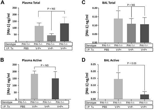 Figure 2. Day 9 mutant PAI-1 protein concentrations in bleomycin-injured PAI-1−/− mice. PAI-1−/− mice were given intratracheal bleomycin (1.15 μg/kg in 50 μL of sterile PBS) on day 0. On day 8, subgroups of mice were treated with either intraperitoneal injections of PBS or 100 μg/injection every 12 hours of PAI-1(V+P+), PAI-1(V+P-) or PAI-1(V-P+). On day 9, 1 hour after the last injection, plasma and BAL fluid were collected from each animal and the concentrations of total and active PAI-1 were measured with a bead-based ELISA. (A) Total PAI-1 concentration in plasma. (B) Active PAI-1 concentration in plasma. (C) Total PAI-1 concentration in BAL fluid. (D) Active PAI-1 concentration in BAL fluid. Results are reported as the mean concentration in ng/mL ± SEM. N = 5 mice per group. Groups are compared with a 1-way ANOVA with Newman-Kuels posthoc multiple comparison test.