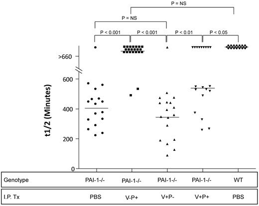 Figure 3. Day 9 bronchoalveolar lavage fluid fibrinolytic activity. PAI-1−/− and WT mice were treated with intratracheal bleomycin (1.15 μg/kg in 50 μL of sterile PBS) on day 0. On day 8, subgroups of PAI-1−/− animals were treated with either intraperitoneal injections of PBS or 100 μg/injection every 12 hours of PAI-1(V+P+), PAI-1(V+P-) or PAI-1(V-P+). WT mice received the same dosing regimen of intraperitoneal PBS. On day 9, 1 hour after the last injection, BAL fluid was collected from each animal and the amount of fibrinolytic activity was measured using a clot lysis assay. Results are reported as a scatter plot of t1/2, which represents the time in minutes required for 50% of the clot to be degraded (as assessed by absorbance at 405nm). N = 17-22 mice. Groups are statistically compared with a Kruskal-Wallis test with post hoc group comparison using the Dunn Multiple Comparison Test.