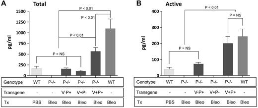 Figure 6. Day 21 mutant PAI-1 protein concentrations in bleomycin-injured transgenic mice. PAI-1−/− mice that transgenically express PAI-1(V+P+), PAI-1(V+P-) or PAI-1(V-P+) off of the preproendothelin promoter were treated with intratracheal bleomycin (1.15μg/kg in 50 μL of sterile PBS) on day 0. Groups of WT and PAI-1−/− mice were also treated with bleomycin. A control group of WT mice was left uninjured. On day 21, bronchoalveolar lavage fluid (BAL) was collected from each animal and the concentrations of total (A) and active (B) PAI-1 were measured with a bead-based ELISA. Results are reported as the mean concentration in pg/mL ± SEM. N = 6-8 mice per time point. Groups are compared with a 1-way ANOVA with Newman-Kuels posthoc multiple comparison test.