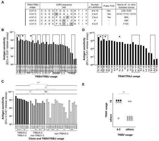 Figure 1. KK10-specific clonotypes with high levels of Ag sensitivity express TRBV4-3/TRBJ1-3 TCRs. (A) Alignment of observed TCRβ amino acid sequences for TRBV4-3/TRBJ1-3 clonotypes; 3 public and 2 private sequences are shown. Amino acid residues that differ between clonotypes are highlighted in gray. The numbers of n additions required to produce each observed nucleotide sequence and the isolated clone assignments are indicated for each clonotype. (B) KK10-specific CD8+ T-cell clones (n = 35) isolated from 3 patients are grouped by TCRβ sequence, indicated by the box frames, and classified according to mean cognate Ag sensitivity (EC50 for Cr51 release). Public clonotypes are highlighted with a star. (C) Classification of KK10-specific CD8+ T-cell clones according to cognate Ag sensitivity (EC50 for Cr51 release) and TRBV/TRBJ usage. Each bar represents one clone: TRBV4-3/TRBJ1-3 clones are in black, TRBV4-3/non-TRBJ1-3 clones are in gray, and non-TRBV4-3 clones are in white. The clone reference is indicated on the x-axis, and the last letter of the code corresponds to the patient from whom the clone was obtained (A and F for patient 01.01 DOF, B and G for patient 04.064, and C and H for patient 11.007). Statistical analyses were conducted using the Mann-Whitney U test with Bonferroni correction for multiple comparisons (P < .0125 was considered significant). (D) Isolated KK10-specific CD8+ T-cell clones (n = 23) are grouped by TCRα sequence, indicated by the box frames, and classified according to mean cognate Ag sensitivity (EC50 for Cr51 release). Public clonotypes are highlighted with a star. (E) Association between TRAV14 and TRBV4-3 gene usage in KK10-specific CD8+ T-cell clones. Each symbol represents one clone: ●, TRBV4-3/TRBJ1-3 clones; ○, TRBV4-3/non-TRBJ1-3 clones; and ♢, non-TRBV4-3 clones. The χ2 test was used to assess statistical significance. **P < .01 and ***P < .001, respectively.