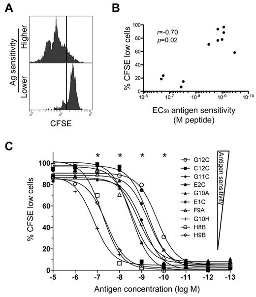 Figure 2. Differential induction of CD8+ T-cell proliferation according to Ag sensitivity. (A) Representative examples of CD8+ T-cell proliferation measured by dilution of CFSE fluorescence at 10−8M peptide for clones with higher (C2A) and lower (D8B) AgS levels. Cells were labeled with CFSE and then stimulated with KK10 peptide-loaded EBV-transformed HLA-B*2705+ B cells for 5 days. (B) Proliferation induced by 10−8M cognate peptide is plotted as a function of AgS (EC50 for Cr51 release). Each dot represents a distinct clone. Minimal proliferation was observed in the absence of exogenous cognate peptide. The correlation was determined using the Spearman rank test. (C) Proliferation (% of cells with diluted CFSE fluorescence) across a gradient of peptide concentrations for 10 different KK10-specific CD8+ T-cell clones with different AgS levels. *A significant correlation between AgS and proliferation at a given concentration of peptide.