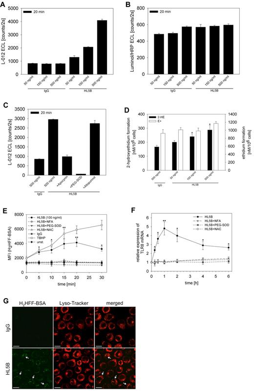 Figure 5. Induction of ROS by HL5B. HL5B or IgG were added to MonoMac1 cells in the concentrations indicated. (A) Induction of intracellular ROS production as determined by L-012 chemiluminescence. (B) Induction of extracellular ROS production as determined by luminol/HRP chemiluminescence. (C) Effects of apocynin (100μM), PEG-SOD (100 U/mL), and allopurinol (100μM) on intracellular ROS production. (D) Quantification by HPLC of 2HE and ethidium generated in response to incubation with HL5B and IgG. (E) Flow cytometric analysis of ROS production induced by HL5B and the effect of inhibitors. Cells were loaded for 2 minutes with H2HFF-BSA at 37°C followed by incubation with HL5B (100 ng/mL) alone or with NFA (0.1mM), PEG-SOD (500 U/mL) or NAC (10mM) as indicated. Tert-butyl-hydroperoxide (25μM) serves as a positive control. Means ± SD of MFI values of 5 independent experiments are presented. *P < .005, **P < .001 for HL5B versus HL5B plus inhibitor. (F) Relative expression of TLR8 normalized to β-actin. Values represent mean ± SD of at least 5 independent experiments. *P < .005, **P < .001 for HL5B versus HL5B plus inhibitor. (G) ROS generation analyzed by confocal microscopy. MonoMac1 cells were loaded for 2 minutes with H2HFF-BSA and stimulated for 15 minutes with HL5B or IgG (500 ng/mL each) and imaged by confocal fluorescence microscopy with identical instrument settings. The acidic organelles were visualized by the use of Lyso-Tracker (50nM). Fluorescent H2HFF-BSA indicative of ROS production was only observed after incubation with HL5B. The majority colocalized with LysoTracker (arrows). ROS production could be almost completely blocked by incubation with PEG-SOD (500 U/mL).