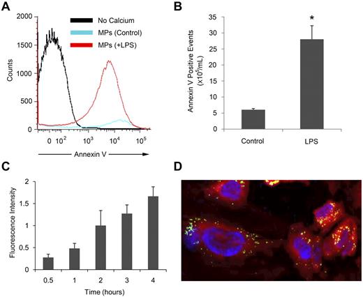 Figure 1. MPs released by LPS-treated THP-1 cells bind to endothelial cells. MPs were isolated from THP-1 cells left untreated or treated with 5 μg/mL LPS for 24 hours. (A) MPs were stained with annexin V with or without calcium and detected by flow cytometry. (B) Annexin V-positive events per milliliter were calculated using a known concentration of flow count beads. (C) MPs from LPS-treated THP-1 cells were labeled with calcein AM and incubated with HUVECs for the indicated times. Fluorescence intensity was measured using a fluorescent plate reader and shown after the subtraction of the background signal of HUVECs alone. (D) Calcein AM-labeled MPs (green) from LPS-treated THP-1 cells were incubated with calcein orange and 4,6 diamidino-2-phenylindole (blue nuclei)-labeled HUVECs for 4 hours and observed in a 1-μm section by confocal microscopy at room temperature using an Olympus Fluoview 1000 with 40× lens. The image was acquired using Olympus Fluoview Version 2.0 viewer and processed using Image J software. Results are representative of at least 3 independent experiments (n = 3 for panels A and B; n = 6 for panel C). *P < .05 (Student t test).