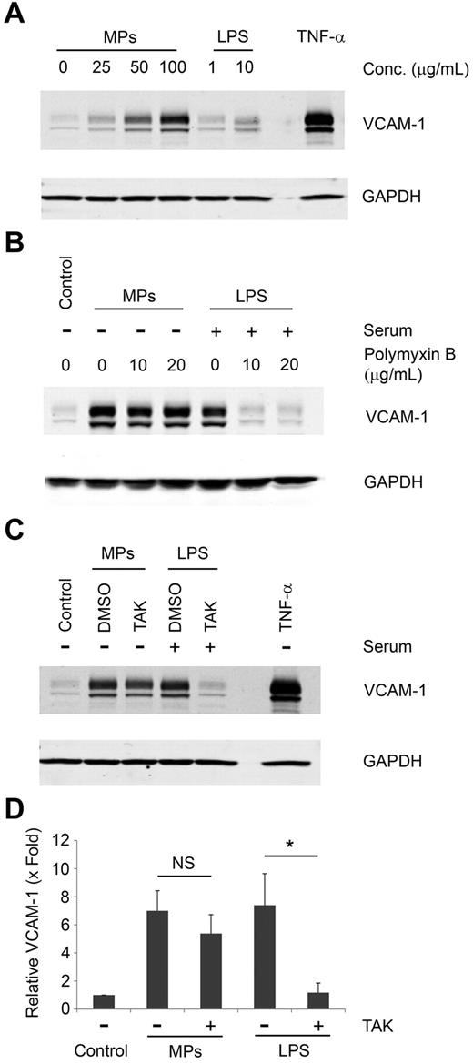 Figure 4. Assessment of LPS contamination in MPs. (A) HUVECs were incubated in serum-free conditions with the indicated amounts of MPs from LPS-treated THP-1 cells, LPS, or 10 ng/mL of TNF-α. Expression of VCAM-1 was detected by Western blot. (B) HUVECs were incubated with increasing concentrations of polymyxin B and then stimulated in serum-free conditions with MPs from LPS-treated THP-1 cells or in serum-containing media with LPS. VCAM-1 was detected by Western blot. (C) HUVECs were pretreated with the Toll like receptor-4 inhibitor TAK-242 or vehicle control (DMSO) and then stimulated with either 100 μg/mL of MPs derived from LPS-treated THP-1 cells in serum-free conditions or with 10 μg/mL of LPS in serum-containing media. HUVECs incubated with 10 ng/mL of TNF-α or left untreated served as controls. VCAM-1 expression in HUVECs was detected by Western blot. GAPDH served as a loading control. (D) Densitometry of Western blots shown in panel C. Data are mean ± SD; n = 4. *P < .01 (2-way ANOVA post-test).