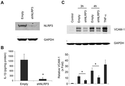 Figure 6. NLRP3 is required for IL-1β expression in MPs from LPS-treated THP-1 cells. (A) NLRP3 protein was detected by Western blot in untreated stable THP-1 cells containing shNLRP3 or empty vector. (B) IL-1β was measured by enzyme-linked immunosorbent assay in MPs from LPS-treated shNLRP3 or empty vector THP-1 cells. (C) HUVECs were treated for 3 or 4 hours with 50 μg/mL of MPs from LPS-treated shNLRP3 or empty vector THP-1 cells or 10 ng/mL of TNF-α for 4 hours. VCAM-1 was detected by Western blot, and the relative level of VCAM-1 expression was shown by densitometry. GAPDH served as a loading control. Data are mean ± SD; n = 4. *P < .01 (2-way ANOVA post-test analysis).