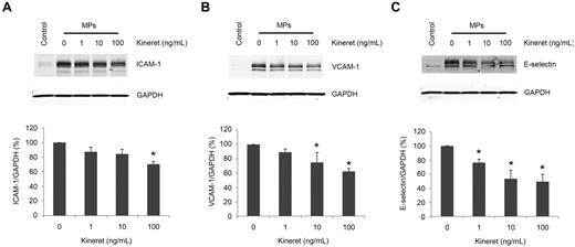 Figure 7. IL-1 receptor antagonist inhibits the induction of adhesion molecules on HUVECs by MPs. HUVECs were preincubated with the indicated amounts of the IL-1R antagonist (Kineret) for 30 minutes before a 4-hour incubation with 100 μg/mL of MPs from LPS-treated THP-1 cells in serum-free conditions. Lysates were then subjected to Western blot for (A) ICAM-1, (B) VCAM-1, or (C) E-selectin (representative of 3 experiments). Densitometry measurements of these experiments: Data are mean ± SD; n = 3. *P < .05 compared with no Kineret sample (1-way ANOVA post-test analysis).