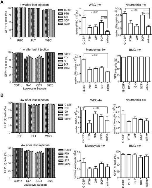 Figure 1. Hematopoiesis and hematopoietic chimerism. (A) Hematopoietic chimerism, determined by flow cytometric analysis for GFP expression, of peripheral blood (top left; n = 10 for each cytokine group) and leukocyte subsets (bottom left; n = 10) at 1 week after cytokine treatment (13 weeks after BMT). Absolute cell counts of leukocytes (top middle; n = 10), neutrophils (top right; n = 10), and monocytes (bottom middle; n = 10) and donor chimerism of total bone marrow cells (bottom right; n = 5 for each cytokine group), all at 1 week after cytokine treatment. (B) The same analyses as in panel A with data obtained at 4 weeks after cytokine treatment (16 weeks after BMT; n = 5 for each cytokine group). All data are presented as mean ± SE. Statistically significant relationships are indicated. RBC indicates red blood cells; PLT, platelets; WBC, white blood cells; and BMC, bone marrow cells. CD11b, Gr-1, CD3, and B220 are lineage markers for monocytes, neutrophils, T lymphocytes, and B lymphocytes, respectively.