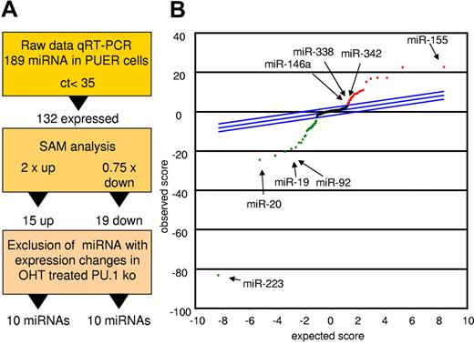 Figure 1. PU.1 induces a specific miR profile. PUER and PU.1 KO cells were treated with solvent or with OHT (100nM) for 18 hours and profiled for miR expression. Monocytic differentiation of PUER was controlled by FACS analysis showing induction of CD11b and by phenotype (supplemental Figure 1). (A) Strategy of PU.1-regulated miR identification. Raw data of the PUER and PU.1 KO cells were normalized to global mean. PU.1-specific candidates were then identified using SAM for PUER cells (18 hours for solvent vs 18 hours for OHT) using a 2-fold change for up-regulated and a 0.75-fold change for down-regulated miRs as a cutoff. To control for unspecific OHT effects on miR expression, those miR that were also differentially expressed in PU.1 KO cells after 18 hours of OHT treatment compared with the solvent control were excluded from further analyses. (B) SAM plot of the miR expression differences between OHT and mock-treated PUER after exclusion of the miR expression changes resulting from OHT treatment of PU.1 KO cells. Selected PU.1-regulated miRs are indicated (arrow); all PU.1-regulated miRs are listed in Table 1. Arrays were performed in biologic triplicate for PUER cells and in duplicate for PU.1 KO cells.