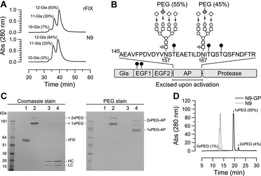 Figure 1. Modifications in native and glycoPEGylated N9. (A) Separation of Gla species in rFIX and N9 by anion exchange HPLC using a linear ammonium acetate gradient. The fractional content of indicated Gla species is given in parentheses and was calculated by relating the area of the corresponding peak to the total peak area. (B) Domain structure of N9 and location of identified N- and O-linked (●) carbohydrates. The 2 N-linked glycans in the activation peptide (AP) were predominantly core-fucosylated tri- and tetra-antennary complex structures composed of fucose (◁), N-acetylglucosamine (□), mannose (○), galactose (⊙), and sialic acid (♢). Enzymatic transfer of 40k-PEG-sialic acid to desialylated N9, and sialylation of remaining exposed galactoses are indicated by arrows. The relative distribution of PEG between the 2 N-glycans is given in parentheses. (C) N9-GP (lane 2) separated into 2 bands by SDS-PAGE corresponding to mono- and di-PEGylated (1x and 2xPEG, respectively) forms. Incubation with 2.5nM FXIa for 6 hours at pH 7.4 and 25°C converted 500nM N9-GP (lane 4 left panel) into heavy and light chains with the same mobility as activated N9 (lane 3 left panel) concomitant with the release of mono and di-PEGylated activation peptides (1x and 2xPEG-AP, respectively) evident by barium iodide (PEG) staining (lane 4 right panel). (D) The distribution of PEGylated species was determined by rpHPLC using a linear acetonitrile gradient which resolved N9-GP into unmodified (1%), mono-PEGylated (95%), and di-PEGylated (4%) forms. In comparison, N9 eluted as a single peak.
