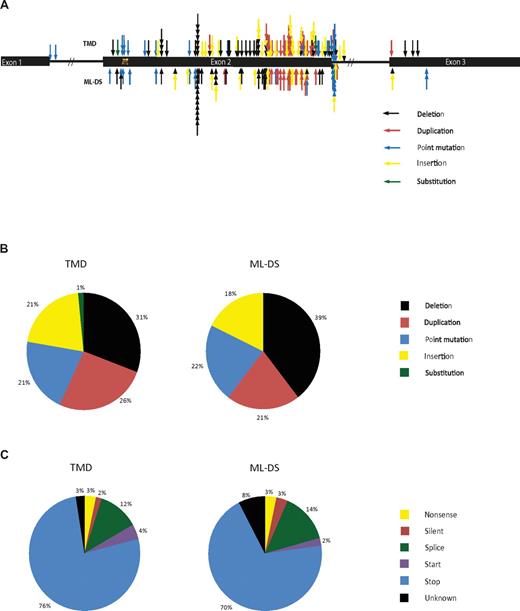 Figure 1. Position and types of GATA1 sequence mutations found in TMD and ML-DS samples. (A) A schematic diagram of GATA1 showing the positions and types of the sequence mutations found in TMD and ML-DS samples. Each arrow represents a different patient. (B) Diagram showing the mutational spectrum of patients with TMD and with ML-DS and (C) the effect that these mutations have on the sequence of GATA1.