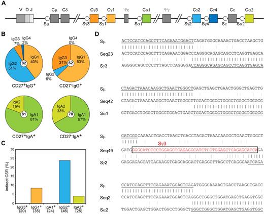Figure 4. Molecular analysis of Ig class switching in IgA+ and IgG+ memory B-cell subsets. (A) Schematic representation of the constant region of the human IGH locus. (B) Distribution of IgA and IgG receptor subclass use in IGH rearrangements of class-switched memory B-cell subsets. Total number of analyzed sequences is indicated in the center of each plot. Differences in the distribution were statistically analyzed with the χ2 test and were found significant for both CD27+IgG+ vs CD27−IgG+ (P < .0001) and CD27+IgA+ vs CD27−IgA+ (P < .05) B-cell subsets. (C) Frequency of Sμ-Sα and Sμ-Sγ rearrangements bearing remnants of indirect class switching. Number of analyzed sequences is given in brackets. (D) Examples of direct and sequential class switching; a piece of Sγ3 sequence in the Sμ-Sγ2 junction is indicated boxed in red font.