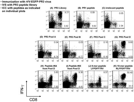 Figure 3. Deconvolution of immune responses to PR3. Flow analyses of ICC assays analyzing responses of rVV-EGFP-PR3–immunized HHDII mice to a PR3 peptide library. Splenocytes from immunized mice were expanded for 1 week in culture by stimulation with the whole PR3 library (A) and aliquots of these cultures tested, first by restimulation with peptide pools (D-G), and then in a separate experiment, with single peptides (B-C, H-K) followed by labeling with Abs to CD8 and IFN-γ. The robust response to the PR3 library was shown to be because of 2 peptides (64 and 65) within peptide subpool D (H-I). The minimal cytotoxic epitope common to these 2 peptides was shown to be a 10-mer peptide termed PR2 (K). This deconvolution of PR3 responses to the PR2 epitope was performed in 2 repeat experiments, each using at least 3 mice.