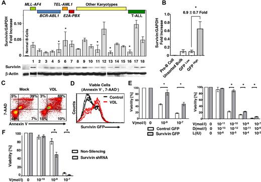Figure 1. Survivin promotes drug resistance. (A) 15 unsorted primary pre–B-ALL (1-15) and 3 unsorted primary T-ALL cases (16-18) and LPS-stimulated proliferating and unstimulated CD19+ B cells as controls (n = 3, supplemental Figure 1) were studied for survivin mRNA levels by qRT-PCR (top panel) and survivin protein expression by Western analysis (bottom panel). Major karyotypes or the primary cases are indicated at the top of the figure and are listed in supplemental Table 1. Survivin is significantly more expressed in primary ALL cells (n = 18) compared with normal CD19+ B-cell controls (n = 3; 3.46 ± 2.38 vs 0.26 ± 0.06, respectively; Survivin /GAPDH-fold increase; P < .02). *P < .05; no symbol indicates P < .005. (B) A human survivin promoter–driven GFP lentiviral reporter (survivin reporter-GFP) was used in LAX7R cells. Unsorted bulk ALL or ALL cells FACS sorted for GFPHigh and GFPLow were analyzed for survivin expression by qRT-PCR. *P < .05. (C) Unsorted, LAX7R cells transduced with the survivin reporter GFP were treated with either media control or a combination of VDL (V, 1nM; D, 0.1nM; and L, 0.01 IU) for 48 hours and analyzed for apoptosis by flow cytometry after annexin V costaining. (D) Viable annexin V−/7-AAD− LAX7R cells after VDL or control treatment were further analyzed by flow cytometry for survivin reporter-GFP expression. (E) A lentiviral survivin IRES GFP (survivin-GFP) was used to overexpress survivin in ALL. Survivin-GFP ALL cells and empty-GFP controls were treated in vitro with V alone (left panel) or with the VDL combined therapy, as in panel D (right). Viability was assessed by MTT assay. (F) Primary ALL cells (LAX7R) cells transduced with either nonsilencing or survivin shRNA were treated with V at the indicated doses and viability was assessed with an MTT assay. Asterisks (*) denote statistical significance between survivin shRNA knock-down and controls.