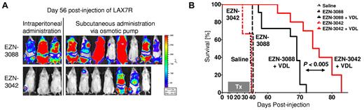 Figure 6. Combined EZN-3042 and chemotherapy treatment prolongs survival of recipient mice with primary ALL. (A) Bioimaging of primary ALL on day 56 after transplantation of the EZN-3042 + VDL–treated cohort (n = 10) and the EZN-3088 + VDL–treated control group (n = 11). (B) Kaplan-Meier curves of NSG mice engrafted with LAX7R cells and treated with saline (black long dotted line), EZN-3088 (black small dotted line), or EZN-3042 (red interrupted line) as single agents or either EZN-3088 (black line) or EZN-3042 (red line) administered IP or by subcutaneous pump, respectively, in combination with VDL (V, 0.5 mg/kg/d; D, 10.5 mg/kg/d; and L, 1500 IU/kg/d) for 28 days. MST was 38 days for the saline group (n = 3), 41 days for the EZN-3088 group (n = 3), and 39 days for the EZN-3042 group (n = 3). The 69-day MST of the EZN-3088 + VDL–treated group (n = 11; IP, n = 3; subcutaneous pump, n = 8) compares to the 75-day MST of EZN-3042 + VDL–treated group (n = 10; IP, n = 3; subcutaneous pump, n = 7). P < .04.