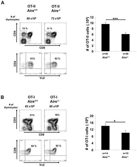 Figure 1. Aire affects the number of SP thymocytes. Thymocytes (3-week-old mice) generated by crossing (A) OT-II.Aire+/− or (B) OT-I.Aire+/− mice to nontransgenic Aire+/− mice were analyzed by flow cytometry for expression of CD4, CD8, and Vα2 and enumerated for SP thymocytes expressing high levels of TCR, that is, (A) CD4+CD8−Vα2+ cells or (B) CD4−CD8+Vα2+ cells. Contour plots show a representative experiment. Histograms show the mean ± SEM for each group. n = number of mice pooled from several experiments. Significance relative to WT: *P ≤ .05; ***P ≤ .001.