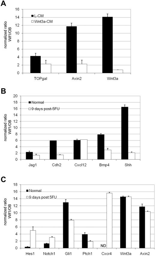 Figure 6. Expression analyses of purified osteoblasts and HSCs during normal steady state and after systemic stress. (A) The autocrine production of Wnt3a by Wif1 transgenic HSCs stimulates Wnt signaling that is normalized on exposure to exogenous Wnt3a. Wif1 and control OB mice were crossed to TOPgal mice and injected with control L-CM or Wnt3a-expressing L-CM (Wnt3a-CM). LSK48− cells were flow sorted 18 hours after treatment, mRNA isolated, and assessed for TOPgal reporter activity, Axin2, and Wnt3a mRNA levels by quantitative real-time RT-PCR. β-actin normalized data are expressed as the ratio of expression in Wif1 versus OB mice after injection of either control L-CM (black bars) or Wnt3a-CM (white bars). (B) Known niche regulators are up-regulated in Wif1-expressing osteoblasts during steady state but are down-regulated after 5-FU. GFP+ osteoblasts from Wif1 and control OB mice were sorted from collagenased bone isolated during normal steady state (black bars) or 9 days after 5-FU injection (white bars). Gene expression was assayed by quantitative RT-PCR for the indicated genes and normalized to β-actin or GAPDH. Data are expressed as the ratio of relative gene expression in Wif1 versus control OB mice ± SD. (C) HSC gene expression in a dysregulated niche is altered at steady state and after systemic stress. HSCs were isolated from Wif1 and OB BM during normal, steady state, LSKCD34−/lo, or LSKCD48− for Wnt 3a and Axin2 (black bars), and 9 days after 5-FU injection, LSKCD48− (white bars). Expression of the indicated genes was interrogated by quantitative RT-PCR and normalized to β-actin or GAPDH. Data are expressed as the ratio of relative gene expression in Wif1 versus control OB mice ± SD. ND indicates not detected.