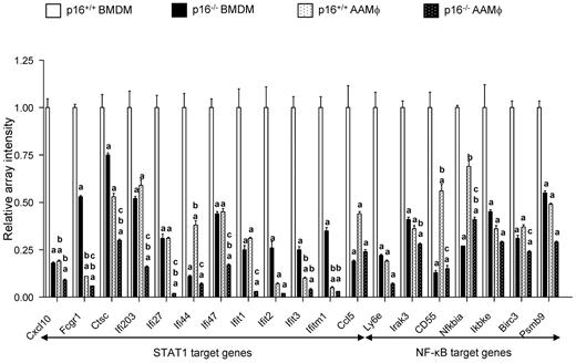 Figure 6. p16INK4a deficiency results in an alteration of STAT1 and NF-κB signaling. Representation of the relative microarray intensity values from a selection of down-regulated genes in p16+/+ and p16−/− BMDM with or without polarization (AAMφ) by 15 ng/mL IL-4 from day 0 of differentiation. Statistically significant differences are indicated (a: P < .05 compared with p16+/+ BMDM; b: P < .05 compared with p16−/− BMDM; c: P < .05 compared with p16+/+ AAMφ).