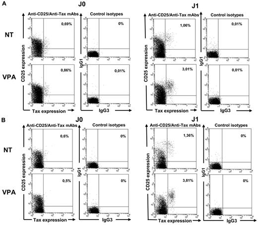 Figure 3. Tax induction in HTLV-1–infected CD4+ T cells treated with 1mM VPA. Intracellular Tax-protein expression in CD4+ T cells was analyzed by flow cytometry using quadruple CD3, CD4, CD25, and Tax (Lt-4 mAb) labeling and appropriate isotype controls. Experiments were performed on D0, D1, and D2 of culture of lymphocytes from 10 HTLV-1 ACs (A) and 10 HAM/TSP patients (B). D0 and D1 results from 1 representative experiment are shown.