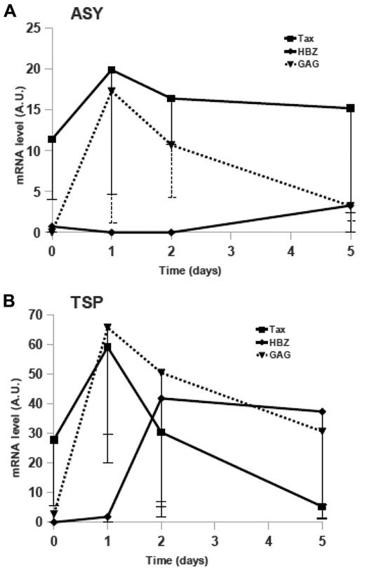 Figure 6. Kinetics of Tax-, Gag-, and HBZ-mRNA expressions in short-term cultures of CD4+ T cells from HTLV-1 asymptomatic carriers and HAM/TSP patients. Tax- (■, solid line), Gag- (▴, dotted line), and HBZ-mRNA (♦, solid line) in ex vivo cultured lymphocytes from AC (A) or HAM/TSP (B) patients were quantified (as described under “Methods”). The medians (and first quartiles) expressed in arbitrary units (AU) for 8 AC and 10 HAM/TSP patients are shown.