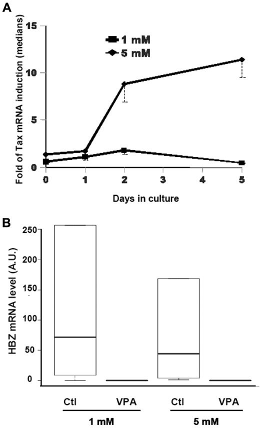Figure 7. VPA effects on Tax and HBZ expressions in CD4+ T cells from HAM/TSP patients. (A) Patients' CD4+ T cells were cultured for the indicated times with 1mM (■) or 5mM VPA (♦). The curves illustrate VPA induction of Tax expression compared with the corresponding nontreated sample (medians and first quartiles of 5 patients for each concentration). (B) Box plot of the HBZ-mRNA levels, expressed in arbitrary units (AU), in CD4+ T lymphocytes from HAM/TSP patients after 5 days of culture with or without the indicated VPA concentration (5 patients per concentration). Horizontal lines are the bold medians and, from bottom to top, 10th, 25th, 75th, and 90th percentiles.