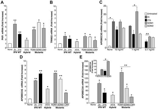 Figure 2. Antiviral gene induction by parental IFNα, hybrid, and mutants. After treatment of macrophages (6 × 106) with IFNα21b, IFNα2c, their hybrids or mutants (0.1 ng/mL) for 4 hours, total mRNA was isolated and examined for (A) PKR and (B) TRIM22 gene transcription using real-time PCR. Representative donor; n = 3. For PKR 2-tailed t test for IFNα-treated compared with control cells (None), **P < .01 (SDM1, SDM2, IFNα21b, IFNα2c) and *P < .05 (CM3, HY4). For TRIM22, *P < .05 for IFN constructs compared with untreated macrophages. Induction of PKR and TRIM22 by SDM1, SDM2, or parental IFN is not significantly different from that of CM3. (C) APOBEC3G gene expression in macrophages incubated with IFN constructs at 0.1-10 ng/mL. *P < .03 untreated vs IFN-treated constructs, *P < .03 parental IFN vs SDM1, **P < .05 IFNα21b vs SDM1. (D) APOBEC3G gene expression correlates with antiretroviral activity. Macrophages (6 × 106) were treated in parallel with IFNα mutants, hybrid (HY4), or parental IFNα (1 ng/mL) for 4 hours and mRNA analyzed for APOBEC3G by RT-PCR. IFNα21b, IFNα2c, SDM1, and SDM2 significantly enhance APOBEC3G gene expression. **P < .001. For HY4 and CM3, *P < .01. APOBEC3G induction by SDM1, SDM2, IFNα2c, and IFNα21b is statistically higher than CM3, *P < .01. Representative donor, n = 3. (E) Macrophages were examined for APOBEC3A transcription after IFNα treatment (1 ng/mL). IFNα parent, hybrid, and mutants induced APOBEC3A (*P < .01), with maximal levels induced by mutant SDM1, *P < .01. Parental IFN vs SDM1, P < .05 and SDM1 vs CM3, **P = .01. Inset: APOBEC3A gene expression in monocytes exposed to IFN constructs. Untreated compared with IFN-treated constructs, *P < .05. Representative donor in duplicate n = 3. Data represent mean + SEM.