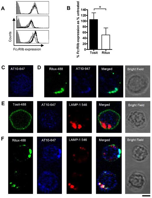 Figure 4. Rituximab and FcγRIIb internalize together into lysosomes. (A) CLL cells were untreated, or treated with rituximab for 30 minutes on ice, washed, and then stained with AT10-PE and analyzed by flow cytometry. Representative histograms from 3 patients are shown. (gray-filled: isotype control; black line: AT10 expression of untreated cells; gray line: AT10 expression of rituximab treated cells). (B) CLL cells were incubated with Tosit-488 or Ritux-488 (5 μg/mL) for 2 hours and then FcγRIIb expression detected using AT10-PE. Data are represented as medians ± ranges (n = 6; *P = .0313, Wilcoxon test). (C) Untreated CLL cells were cultured for 6 hours, then fixed and permeabilized with saponin. Intracellular FcγRIIb was detected using AT10-647 (blue) and the cells analyzed by confocal microscopy. (D,E) Cells from the same CLL sample as in panel C were cultured with Ritux-488 (green) for 30 minutes (D) or Tosit-488 (green; E) for 6 hours and then treated as described in panel C for detection of intracellular FcγRIIb with AT10-647. In addition the Tosit-488 cultured cells were also so stained with biotinylated LAMP-1 and streptavidin-546 (red) to detect lysosomes. (F) CLL cells were treated with Ritux-488 for 6 hours and assessed as in panel E. 2 representative cells are shown. The top cell shows unambiguous colocalization between Ritux-488 and FcγRIIb, but no colocalization with LAMP-1. The bottom cell shows colocalization of all 3 mAb. In each case the bright field image is shown from the same cell. A Leica TCS-SP5 laser scanning confocal microscope with 10× eye piece, 100× objective oil immersion lens was used in each case. Bar represents 5 μm.