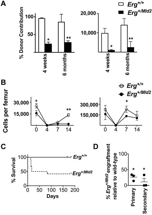 Figure 3. Failure of Erg+/Mld2 HSCs in stress-induced self-renewal. (A) Analysis of donor Lin−Sca+cKit+ HSC contribution to recipient bone marrow at 4 weeks and 6 months after transplantation of 1 × 106 GFP+Erg+/+ or GFP+Erg+/Mld2 unfractionated bone marrow cells into lethally irradiated recipients. The mean ± SD of percentage GFP+ donor contribution to the recipient LSK compartment (left panel) and the number of LSK cells per femur per 1000 transplanted LSK cells (right panel) are shown for 3 independent experiments with 4 recipients per donor. GFP+Erg+/+ (open bars) and GFP+Erg+/Mld2 (closed bars). *P < .005. **P < .02. (B) Recovery of the LSK (left panel) and Lin−cKit+Sca1− committed myeloid progenitor cell fraction (right panel) after exposure of Erg+/+ mice (○) and Erg+/Mld2 (●) to 350 cGy sublethal irradiation. Data are mean ± SD of data from 3-6 mice per genotype per time point. *P ≤ .02. **P ≤ .0025. (C) Survival curve of lethally irradiated secondary transplant recipients receiving 5 × 105 to 1 × 106 GFP+Erg+/+ (solid line) or GFP+Erg+/Mld2 (broken line) bone marrow cells from primary recipients 6 months after injection with 1 × 106 unfractionated bone marrow cells from GFP+Erg+/+ or GFP+Erg+/Mld2 primary donors. Data shown are from 3 independent experiments with 4 recipients per transplant. (D) Donor-derived erythroid reconstitution at 6 months after transplantation in surviving secondary recipients (2°) of bone marrow from primary (1°) GFP+Erg+/Mld2 recipients relative to GFP+Erg+/+ bone marrow transplanted mice. Data are mean ± SD. *P < .05.