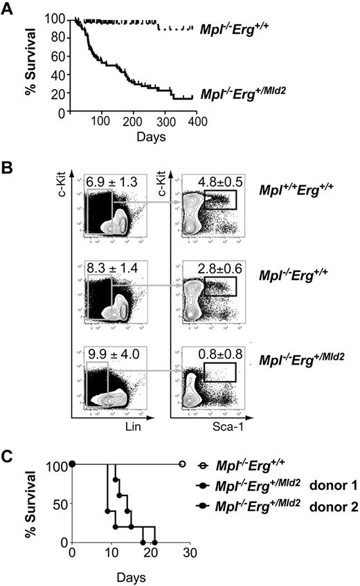 Figure 4. Bone marrow failure in Mpl−/−Erg+/Mld2 mice. (A) Survival of Mpl−/−Erg+/+ (broken line, n = 172) and Mpl−/−Erg+/Mld2 (solid line, n = 58) mice. P < .0001 by log-rank analysis, with median survival of 115 days for Mpl−/−Erg+/Mld2 mice. (B) Representative flow cytometric analysis of the LSK fraction from Mpl+/+Erg+/+ (n = 6), Mpl−/−Erg+/+ (n = 6), and Mpl−/−Erg+/Mld2 (n = 6) mice at 7-10 weeks of age. (Left panels) The number (mean ± SD) of Lin− cells as a percentage of viable bone marrow cells. (Right panels) The number of Kit+ Sca-1+ cells as a percentage of Lin− cells. (C) Survival of mice transplanted with of 3 × 106 unfractionated bone marrow cells from Mpl−/−Erg+/+ (○) and Mpl−/−Erg+/Mld2 (●, 2 independent donors) mice, with 5 recipients per donor.