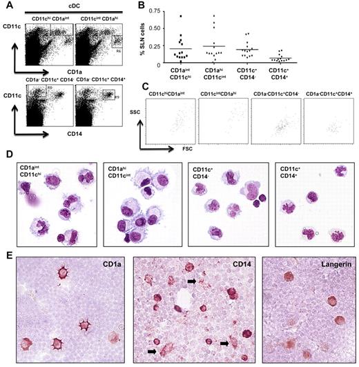 Figure 1. Identification of 4 cDC subsets in human SLN. (A) Flow cytometric dot plots for CD11c, CD1a, and CD14: gating of 4 different cDC subsets in human SLN, ie, 2 CD1a+ subsets, CD11chi CD1aint and CD11cint CD1ahi (top) and 2 CD1a− subsets, CD1a− CD11c+ CD14− and CD1a+ CD11c− CD14+ (gated to exclude CD1a+ cells). (B) Frequencies of the 4 cDC subsets within SLN single-cell suspensions (n = 14). (C) Forward scatter (FSC) and side scatter (SSC) plots for the 4 cDC subsets, gated on CD11chi CD1aint, CD11cint CD1ahi, CD1a− CD11c+ CD14−, and CD1a− CD11c+ CD14+ and back-gated onto forward/side scatter. (D) Morphologic characterization (cytochemical May-Grünwald-Giemsa staining) of sorted CD11chiCD1aint, CD11cintCD1ahi, CD1a−CD11c+CD14−, and CD1a−CD11c+CD14+ cells, isolated (FACS-sorted) from human SLN. (E) Immunocytochemical staining for CD1a, CD14, and langerin cells on SLN imprints, arrows indicate CD14+ cell protrusions (magnification 400×).