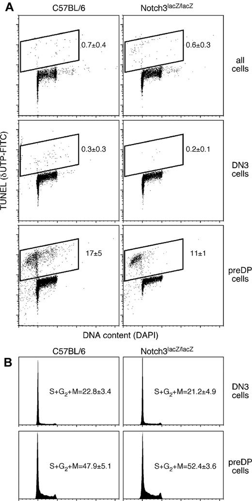 Figure 3. Thymocytes from mice with a gene-trapped Notch3 allele exhibit normal levels of cell death and cell proliferation. (A) Labeling of DNA strand breaks as an indicator of cell death, using dUTP and TdT (TUNEL). Control (C57BL/6) and Notch3lacZ/lacZ mice showed indistinguishable levels of cell death (Student t test, P > .05) among total thymocytes (top), DN3 thymocytes (representing Notch3 peak expression, see Figure 1), or pre-DP thymocytes (the immediate progeny of Notch3-expressing DN3 cells). Statistics indicate mean ± SD for TUNEL+ cells in 3-5 independent experiments. (B) Cell-cycle status (DNA content, assessed by DAPI staining) in DN3 or pre-DP cells from control or Notch3lacZ/lacZ thymuses; again, no significant differences could be distinguished (Student t test P > .05; statistics indicate mean ± SD for hyperdiploid cells in 5 or more independent experiments). Cell-cycle statistics include both TUNEL-negative cells from cell death experiments (A) and additional experiments where TUNEL was not performed, because there was no difference in the measured proliferative index with these 2 protocols.