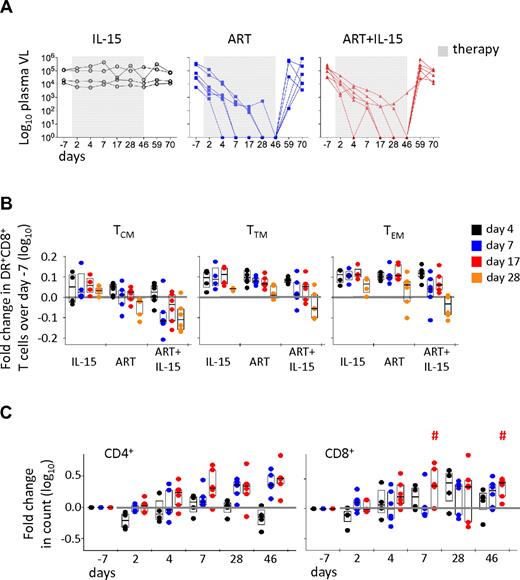 Figure 1. Suppression of viral replication and CD8+ T-cell activation do not favor IL-15–induced CD4+ T-cell expansion. (A) Plasma SIV RNA copies at different days after introduction (gray box) or cessation of therapies. Each line represents a different animal. (B) Fold change in HLA-DR+CD8+ T cells after treatment initiation versus baseline (d−7) in TCM, TTM, and TEM cells. Bars show the interquartile range, and the wide bar shows the median, of the distribution. Each point represents an animal. (C) Fold change in CD4+ and CD8+ absolute T-cell counts in the peripheral blood in the different treatment groups. Data are expressed as in panel B. The horizontal gray line indicates no change versus baseline. #P < .05 vs ART; Wilcoxon rank-sum test.