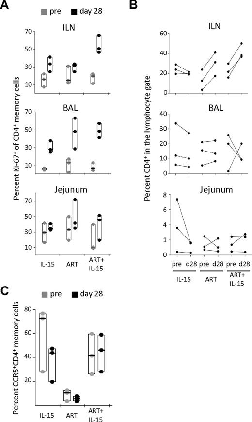 Figure 3. IL-15 fails to promote CD4+ T-cell recovery in peripheral tissues despite the induction of local proliferation. (A) Percent Ki-67+ among memory (CD95+) CD4+ T cells and (B) percent of total CD4+ T cells in the lymphocyte gate in the ILN, BAL, and jejunum at pretherapy (d−13) and at d28 after therapy initiation. (C) Percent CCR5+ CD4+ memory T cells in the BAL at the same time points after therapy initiation. In panels A and C, data are expressed as in Figure 1B. In panel B, each line represents an animal.