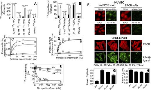 Figure 1. Binding of factors X, Xa, VIIa, and APC to EPCR expressing cells. (A) CHO cells (black bars) or CHO cells stably transfected to express human EPCR (CHO-EPCR; gray bars) were incubated with 125I-labeled human FVIIa (10nM and 50nM), human APC (50nM), human FXa (150nM), or human FX (150nM) in HEPES buffer (10mM HEPES, 0.15M NaCl, 4mM KCl, and 11mM glucose) containing CaCl2 (5mM), MgCl2 (1mM), and BSA (1 mg/mL) for 3 hours at 4°C. At the end of incubation, cells were washed 4 times with the same buffer and surface bound ligands were eluted with glycine (100mM, pH 2.3) and counted for radioactivity to determine the amount of ligand bound to the cells. (B) Same as panel A except that CHO and CHO-EPCR cells were replaced with HUVECs pretreated with EPCR blocking mAb (black bars) or control vehicle (gray bars), respectively. (C) CHO or CHO-EPCR cells were incubated with various concentrations of biotinylated active site-blocked FVIIa (□), APC (Δ) or FXa (○) in Ca2+/Mg2+ containing buffer for 3 hours at 4°C. After washing the cells to remove unbound ligands, the surface bound ligands were detected by fixing the cells and adding alkaline phosphatase coupled streptavidin followed by BluePhos phosphatase substrate system (KPL). EPCR-specific binding was calculated by subtracting the absorbance measured in CHO cells from that of CHO-EPCR cells. Biotinylated active site-inhibited FXa, FVIIa, or APC were prepared by incubating FXa, FVIIa, or APC with 10-fold molar excess of biotinylated EGR for 3 hours at room temperature and excess probe was removed by dialysis. (D) Same as panel C except that CHO and CHO-EPCR cells were substituted with HUVECs pretreated with EPCR blocking mAb or a control vehicle, respectively, and EPCR-specific binding was calculated by subtracting the absorbance obtained with HUVECs pretreated with EPCR blocking antibody from HUVECs not treated with the antibody. (E) CHO-EPCR cells were incubated with 125I-FVIIa (10nM) in the presence of various concentrations of unlabeled competitors, FIX (◇), prothrombin (PT, ▿), FX (○), FVIIa (□), APC (Δ) for 3 hours at 4°C. The surface bound 125I-FVIIa was eluted with low pH glycine and counted for radioactivity. (F) HUVECs, treated EPCR blocking mAb (25 μg/mL) or control vehicle (top panel) or CHO-EPCR cells (bottom panel) were exposed to FVIIa (50nM for HUVECs; 10 and 50nM for CHO-EPCR cells), APC (70nM) or FX (175nM) conjugated with fluorescent probe AF488 for 1 hour at room temperature. At the end of 1 hour, cells were washed quickly and immunostained with nonblocking EPCR mAb. Images through z-axis were acquired using LSM 510 Meta confocal system (Carl Zeiss) and reconstructed to 3D composite images. (G,H) EPCR overexpressing mice were injected intravenously with active site-inhibited human APCi (400 μg/mice) and blood samples were drawn retroorbitally pre- and postadministration of APCi. Mouse protein C level in plasma was measured using mouse protein C–specific ELISA (G) and mouse FX level was measured in a FX specific clotting assay (H).