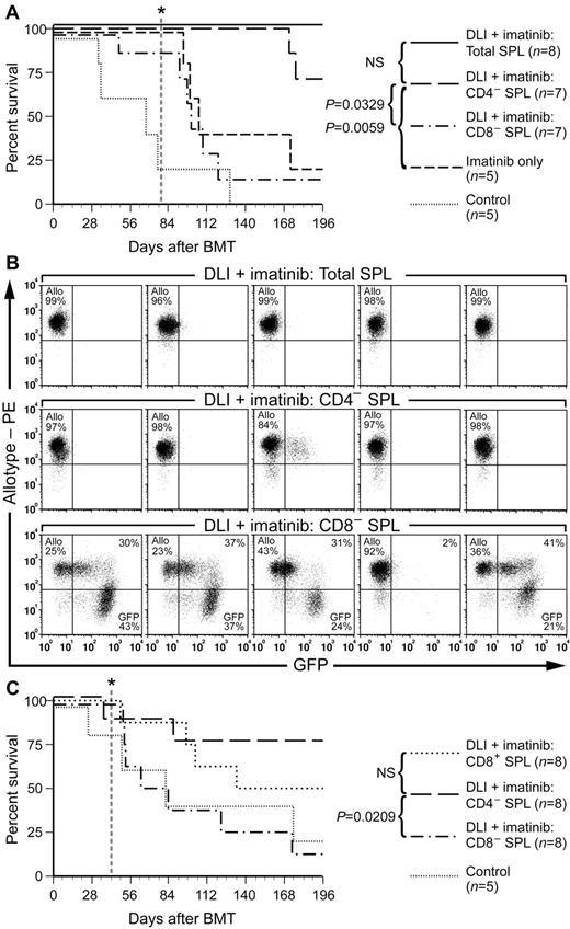 Figure 6. CD8+ T cells mediate GVL against CML-like leukemia. (A) Survival curve for B10.D2→Balb/c mixed allogeneic chimeras with CML that were untreated (Control) or treated with imatinib alone (100 mg/kg/d) or in combination with weekly DLI (total of 4 infusions beginning at day 14 after BMT) of unfractionated (Total splenocytes, solid line), CD4-depleted, or CD8-depleted splenocytes. Imatinib treatment was stopped at day 77 (vertical dotted line). The difference in survival between recipients of CD4-depleted DLI and recipients treated with imatinib only or with CD8-depleted DLI was significant (P = .0329 and P = .0059, respectively, by Mantel-Cox tests), whereas there was no significant difference in survival of recipients treated with total splenocyte DLI versus CD4-depleted DLI, or of recipients treated with CD8-depleted DLI versus imatinib only. (B) FACS analysis of leukemia burden (percentage of GFP+ leukocytes, X-axis) and allogeneic chimerism (β2-microglobulin b allele, Y-axis) at day 49 (2 weeks after the last DLI) in 5 representative recipients of DLI with total (top row), CD4-depleted (middle row), or CD8-depleted (bottom row) splenocytes. Note the eradication of GFP+ cells and full allogeneic chimerism in most recipients of CD4-depleted splenocytes, but persistent leukemia in most recipients treated with CD8-depleted splenocytes. (C) Survival curve for an independent transplantation cohort of B10.D2→Balb/c allogeneic chimeras with CML-like leukemia that were treated with imatinib and DLI consisting of CD4- or CD8-depleted splenocytes or purified CD8+ splenocytes, with imatinib treatment stopped at day 42 after transplantation (vertical dotted line). The survival of recipients treated with either CD4-depleted or CD8+ DLI was significantly improved compared with the CD8-depleted arm (P = .0209 and .0278, respectively, by Mantel-Cox tests), whereas there was no significant difference in survival of recipients of CD8-depeleted DLI versus control (P = .4259).