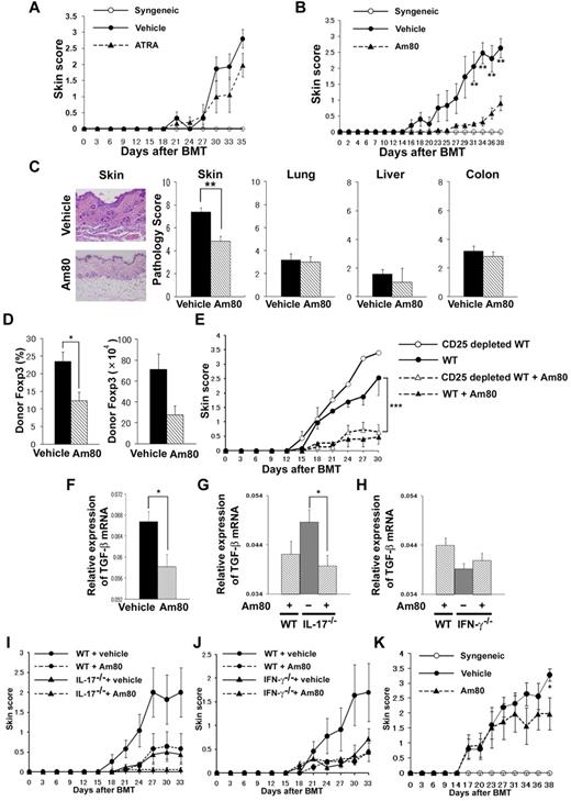 Figure 5. Administration of Am80 ameliorates cGVHD. (A-D) Sublethally irradiated BALB/c recipients were transplanted from WT B10.D2 donors. The recipients received daily administration of ATRA (200 μg/mouse; A), Am80 (1.0 mg/kg of body weight; B), or vehicle solution orally after BMT and were assessed for clinical signs of cGVHD every 3 days. The skin cGVHD scores are shown. (C) Representative histopathology of skin and pathology score of skin, lung, liver, and colon in each group (n = 5-6 per group) on day 16 after BMT are shown. (D) PLN cells of the recipients on day 16 were stained for intracellular Foxp3. The percentages and absolute numbers of CD4+Foxp3+ Treg cells are shown. Data are from 1 representative of ≥ 2 independent experiments. (E) Sublethally irradiated BALB/c recipients were transplanted with 8 × 106 TCD-BM cells plus 2 × 106 total spleen T cells or CD25-depleted T cells from WT or IFN-γ−/− B10.D2 donors. After BMT, recipients were given Am80 or vehicle solution. The skin cGVHD scores are shown. There were 6 recipients in each group; the data are from 1 representative of ≥ 2 independent experiments. (F-K) Sublethally irradiated BALB/c recipients were transplanted from WT (F), IL-17−/− (G), and IFN-γ−/− (H) donors. After BMT, recipients were given Am80 or vehicle solution. TGF-β mRNA expression in the ears on day 35 after BMT (F-H) and skin cGVHD scores (I-J) are shown. Data are from 1 representative of ≥ 2 independent experiments (n = 5 per group). (K) The skin cGVHD scores of BMT recipients treated with Am80 or vehicle solution orally daily after day 21 of BMT; data from 3 independent experiments were combined (n = 12-14 per group). *P < .05, **P < .01, and ***P < .005.