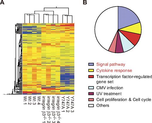 Figure 2. The gene expression profile in Y747A-mutant HSCs differed from that in WT and integrin-β3−/− HSCs. (A) After whole transcriptome analysis of WT, integrin-β3−/− and Y747A HSCs using SOLiD sequencing, hierarchical cluster analysis was performed after filtration based on ANOVA (P < .05) and a > 2-fold change against WT (at least one pair). Up-regulated and down-regulated genes are shown in red and blue, respectively. (B) GSEA was performed using the whole transcriptome of WT and Y747A HSCs. The pie chart represents the distribution of 102 gene sets up-regulated in WT HSCs, compared with Y747A HSCs, into the indicated categories. The threshold was set at P < .05 and FDR (q < 0.25).