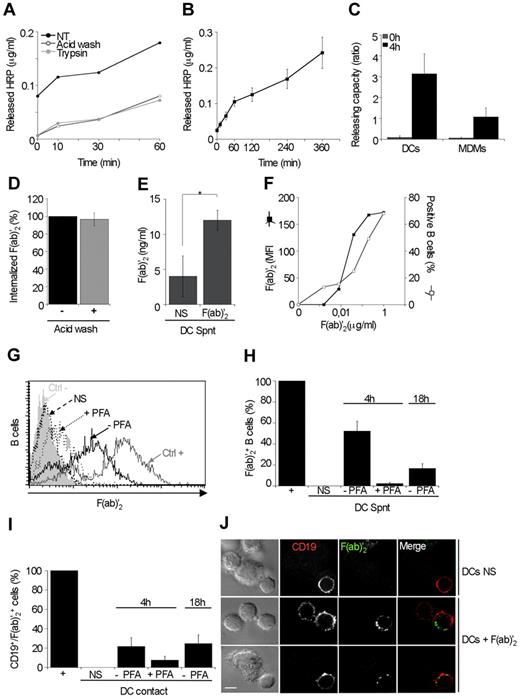 Figure 3. Immature MoDCs release part of macropinocytosed Ag under its native form and B cells capture them. (A) MoDCs were pulsed 1 hour with 1 mg/mL HRP and then washed and membrane stripped or not, either with trypsin or with acid wash. Enzymatic activity of HRP was detected in the supernatants at different time points. (B) HRP release capacity of 5 different donors was measured as in panel A during 1 hour and up to 6 hours. Data are mean ± SEM of 5 independent experiments. (C) HRP releasing capacity was measured for immature MoDCs and monocyte-derived macrophages and expressed as a ratio of HRP found inside and outside cells after 1-hour pulse and 4-hour chase. Data are mean ± SEM of 3 independent experiments. (D) DCs were pulsed for 1 hour with fluorescent F(ab)′2 and then treated or not with acid wash and analyzed by flow cytometry. Data are mean ± SEM of 4 independent experiments. (E) DCs were pulsed for 1 hour with fluorescent F(ab)′2 or not (NS) and then chased for 4 hours, and the F(ab)′2 concentration in supernatants was measured by ELISA. (F) Primary B cells were incubated for 4 hours with increasing concentrations of fluorescent F(ab)′2 and then analyzed by flow cytometry. Results are expressed both in mean fluorescence intensities and in percentage of positive B cells. (G) MoDCs were unpulsed (NS) or pulsed with 50 μg/mL of Cy2-F(ab)′2 for 1 hour and then fixed with PFA (+PFA) or not (−PFA) and chased for 4 hours at 37°C. Supernatants were collected and applied to autologous primary B cells for 4 or 18 hours. As control (Ctrl+), B cells were directly incubated with 1 μg/mL of Cy2-F(ab)′2 or not (Ctrl−) for 4 hours. B cells were analyzed by flow cytometry, and results are shown as a histogram. (H) MoDCs were treated as in panel G, and results are expressed as percentage of Cy2-F(ab)′2-positive B cells compared with B cells incubated directly for 4 hours with 1 μg/mL of Cy2-F(ab)′2. Data are mean ± SEM of 4 independent experiments. (I) B cells were cocultured for 4 hours or 18 hours with DCs nonstimulated (NS) or pulsed with Cy2-F(ab)′2+ and fixed (+PFA) or not (−PFA) before B-cell addition. Quantifications were made with the ImageStream technology compiled with results obtained by flow cytometry. Results are expressed in percentages of CD19+/F(ab)′2+ cells compared with control B cells incubated directly for 4 hours with 1 μg/mL of Cy2-F(ab)′2. Data are mean ± SEM of 3 independent experiments. (J) DCs were pulsed with Cy2-F(ab)′2 or not (NS) for 1 hour and then cocultured with B cells for 4 hours. Wide field fluorescent microscopy Z-stack images show B cells identified by CD19 (red) and positive for Cy2-F(ab)′2 (green). Bar represents 5 μm.