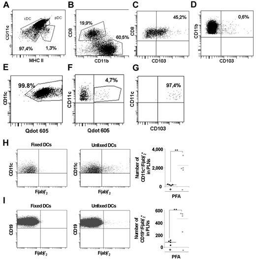 Figure 6. Flow cytometric analysis of Ag transfer from loaded DCs to B cells in vivo. (A-E) DCs purified from spleen and lymph nodes were analyzed for the expression of CD11c, MHCII, and CD317 (A). Conventional DC (CD11chi MHC II +) were analyzed for CD8α and CD11b expression (B). Expression of CD103 gated on cDC CD8α+, CD11b (C) and expression of CD103 gated on cDC CD11b+ (D). Uptake of QDot605-coupled F(ab)′2 anti–mouse IgG in CD11c+ cells (E). (F-G) DCs purified as in panel A were pulsed with 50 μg/mL of QDot655 (H-I) or 605 (E-G)–coupled F(ab)′2 anti–mouse IgG as in Figure 6. Three or 4 C57Bl/6 mice in each recipient group were injected subcutaneously into the hind footpads with 2.5 × 106 pulsed DCs. PLNs were collected after 24 hours. DCs (CD11c+) and B cells (CD19+) were analyzed by flow cytometry for the presence of QDot-F(ab)′2 and CD103 (G), QDot-F(ab)′2 (F,H-I). Quantifications show the total number of DCs and B cells positive for F(ab)′2 within the collected draining PLNs.