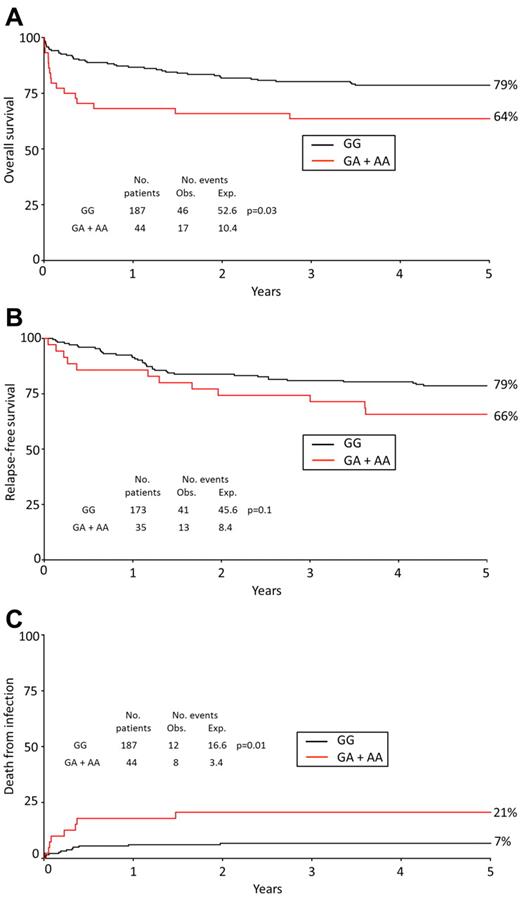 Figure 1. Prognosis of APL patients stratified by CD95 genotype. OS (A), RFS (B), and infection-related death (C) in APL cases by CD95 −1377 genotype (GG vs GA + AA). Percentages shown on Kaplan-Meier plot are at 5 years. The analysis for death from infection censors at deaths from other or unknown causes. Obs indicates observed; and Exp, expected.